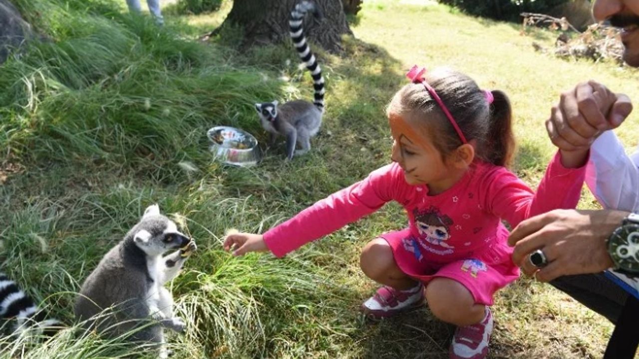 Bursalı çocuklar bayramı Hayvanat Bahçesi'nde kutlayacak