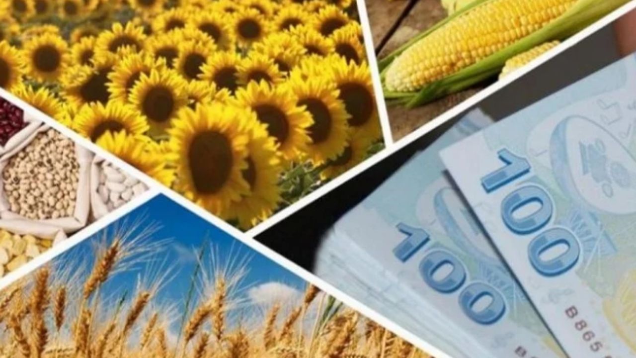 238 milyon TL'lik tarımsal destek hesaplara yattı
