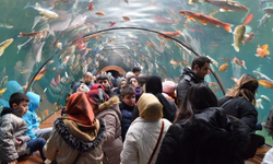Sömestir aktivitelerine yoğun ilgi