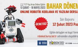 Online kodlamada bahar dönemi başlıyor