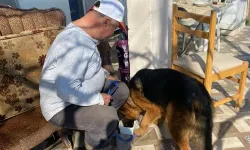 Manisa sahiplendirmeye devam ediyor