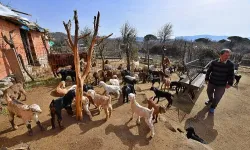Mera İzmir'li üreticilerin umudu oldu