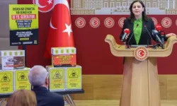 Milletvekili Durgut'tan tepkili kampanya!