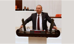 CHP'li Yalım müjdeleri tek tek saydı