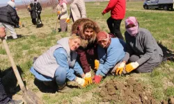 Antalya'yı kadınlar fıstıkla büyütecek