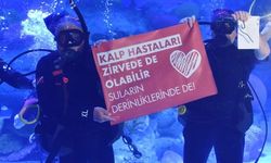 'Sağlık' için daldılar