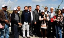 Mersin'de zeytin fidanları üreticiye dağıtıldı