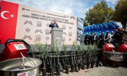 3'ü bir arada destek