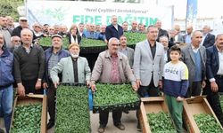 Çiftçiye 'yerel ürün fide' desteği