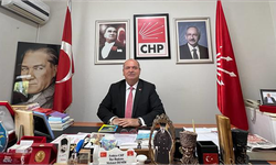Vekil aday adayından üniversite çıkışı