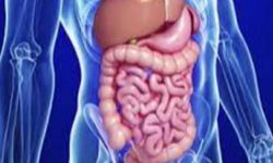 ''Gastroenterolojide belirtiler asla hafife alınmamalı''