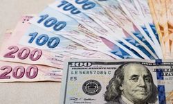 Dolar/TL kuru 25 TL'yi aştı