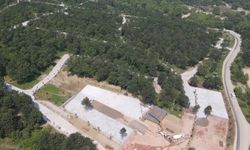 Cumalıkızık Orman Parkı şekilleniyor