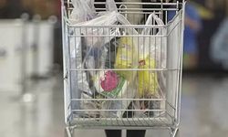 Enflasyon rakamları açıklandı