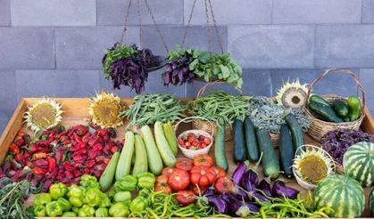 Gerçek organik gıda nasıl anlaşılır?