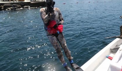 Bodrum'un dipleri şaşırtmaya devam ediyor