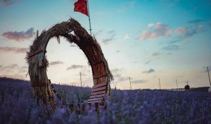 Lavanta ile beklenen buluşma