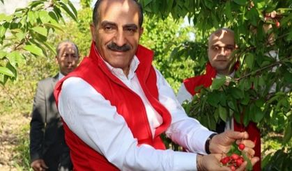 Kiraz 205 milyon dolarla rekor kırdı