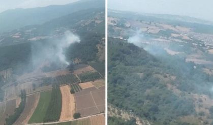 Bursa'da üç ilçede 4 farklı noktada yangın