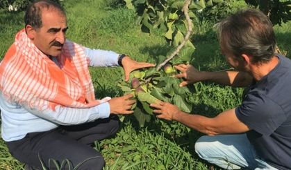 En çok Almanlar tercih ediyor