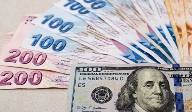 Dolar/TL kuru 25 TL'yi aştı