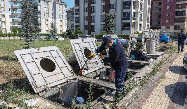 Bursa'da sinekle her yönden mücadele ediyor