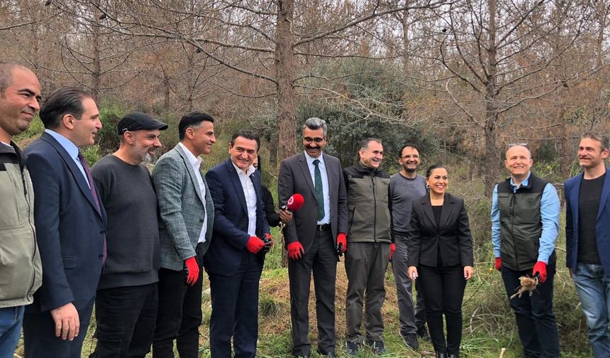 Ormanlara zarar veren çam kese böcekleri