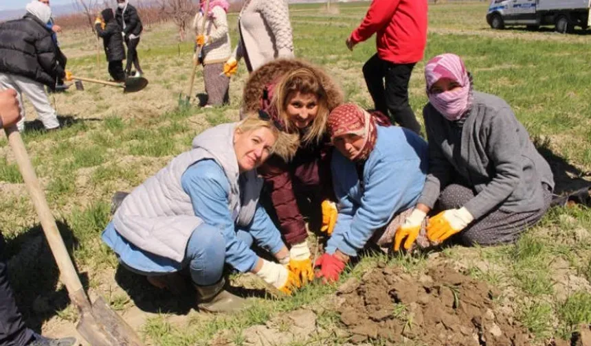 Antalya'yı kadınlar fıstıkla büyütecek