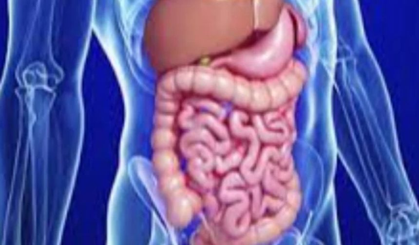 ''Gastroenterolojide belirtiler asla hafife alınmamalı''