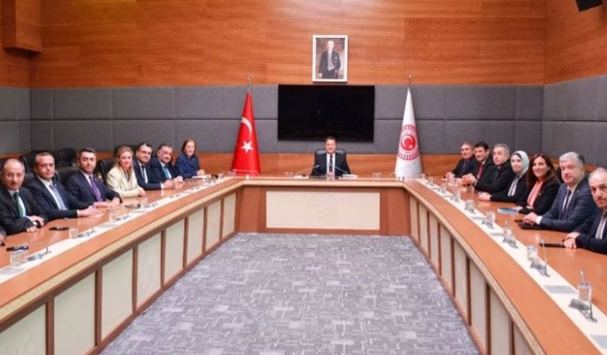Babacan, milletvekilleriyle TBMM'de toplandı