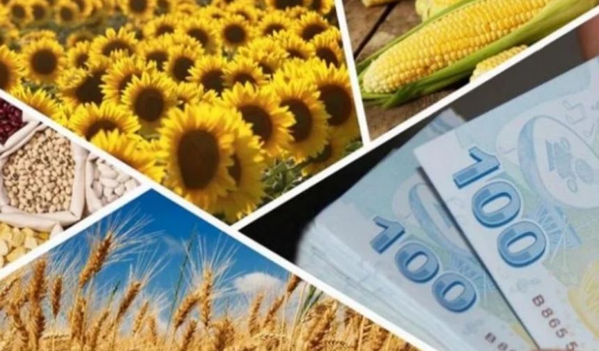 238 milyon TL'lik tarımsal destek hesaplara yattı