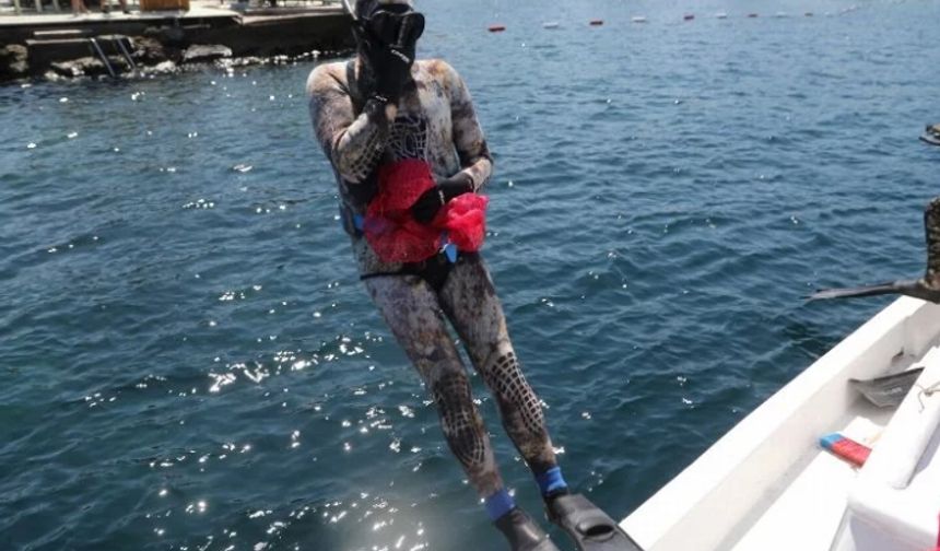 Bodrum'un dipleri şaşırtmaya devam ediyor